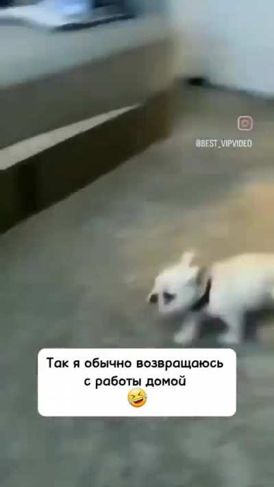 Возвращение домой!