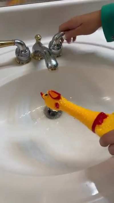 Thanks, i hate chicken revenge