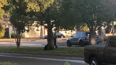 Tree huggers 🙄