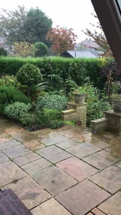 Cozy day indoors listening to the rain (UK)