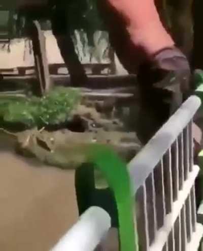 Diving problems