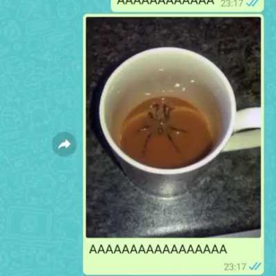 AAAAAAAAA