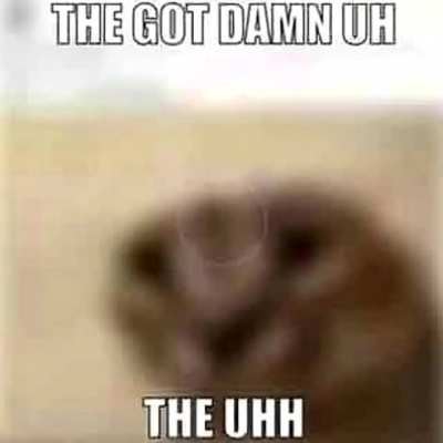 The