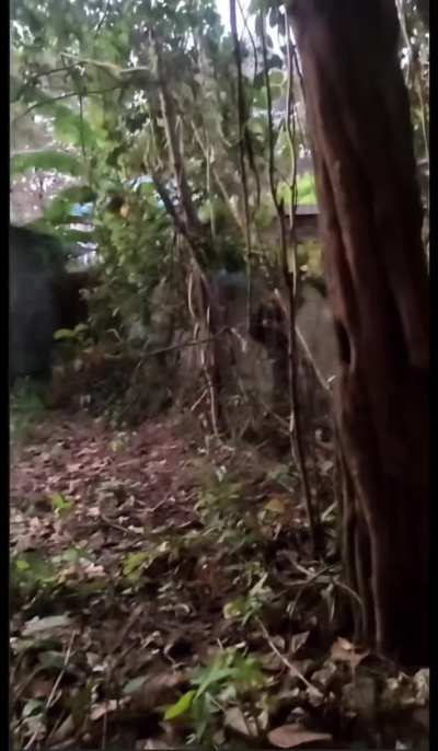 Footage from KTLA's Lion Battalion ( Myanmar Anti-Junta EAO) during the last few days