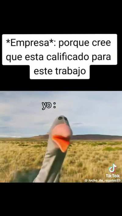 XD
