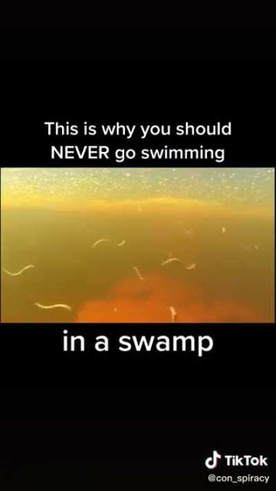 I’d choose to swim with sharks over these any day of the week