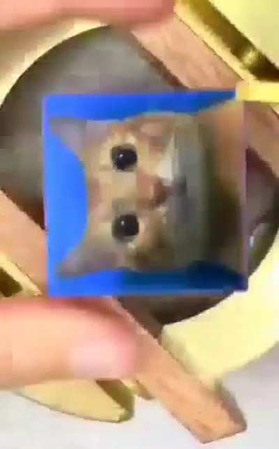 kdjrhwgwggageg 