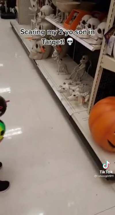 Puppies at target?? (Found on tiktok)