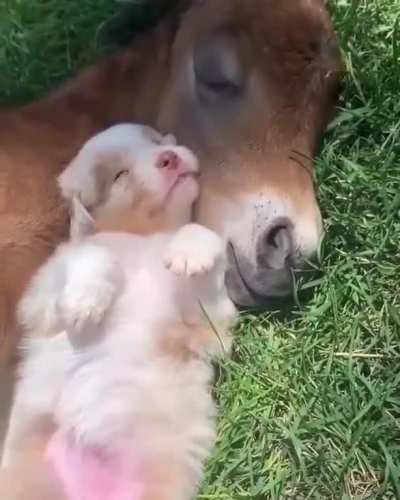 Just love