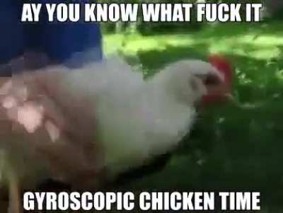 Gyroscopic Chicken
