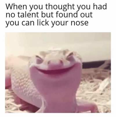 I am a nose licker( Please note I only lick my nose)