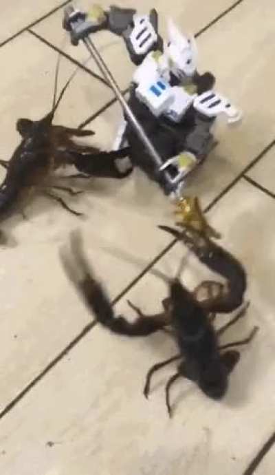 2 vs 1