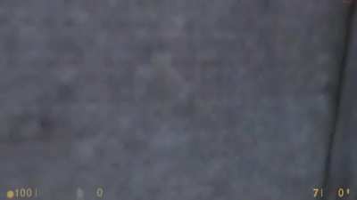 SECRET HALF LIFE EASTER EGG FINALLY FOUND?????