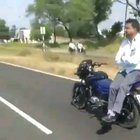Pillion driver