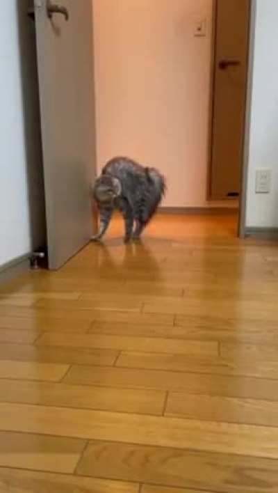 acting strange