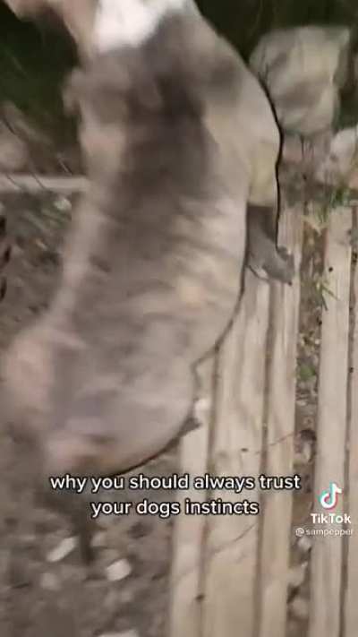He was just just as surprised.