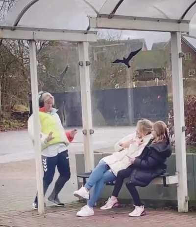 A cute prank
