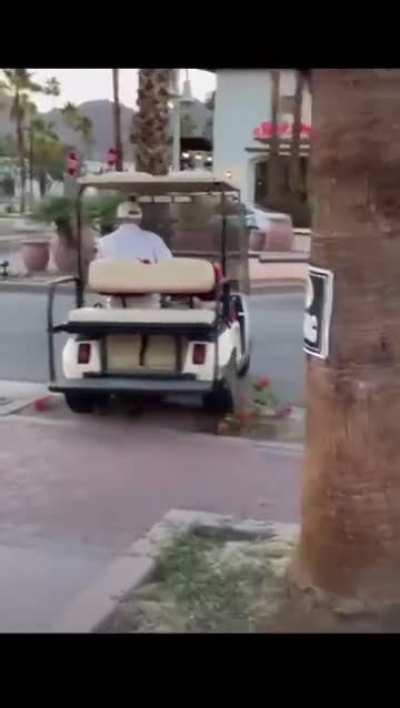 Drunk Florida man takes his golf cart off-road and sends himself flying