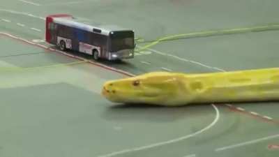 Angry Noodle