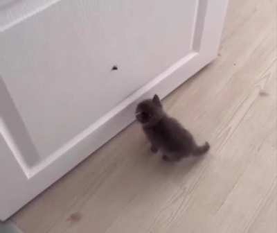 I'm .. gonna git ya