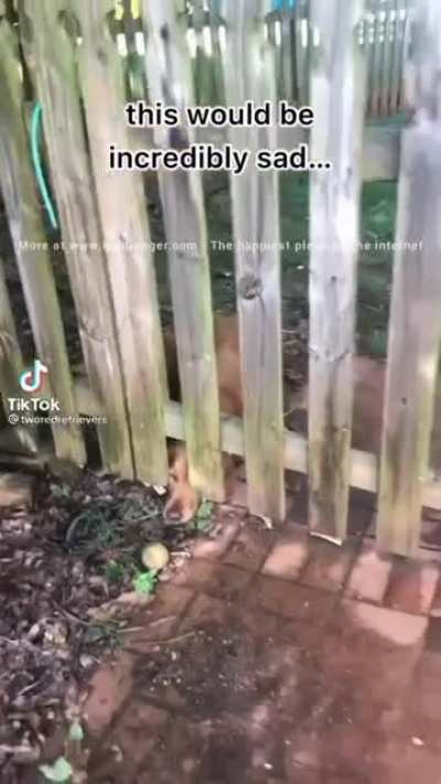 Just go out and get your ball