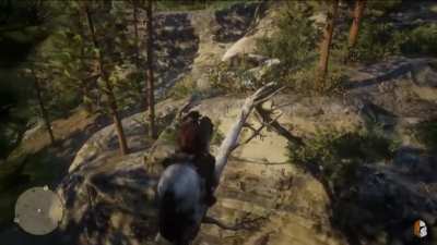 The horse tried its best
