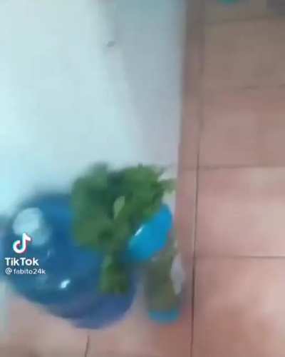 Llevo media hora riéndome xd