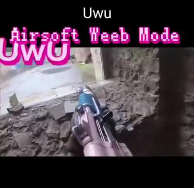 The 2nd Anime-ndment