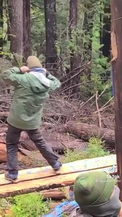 Holding the line against a logging company