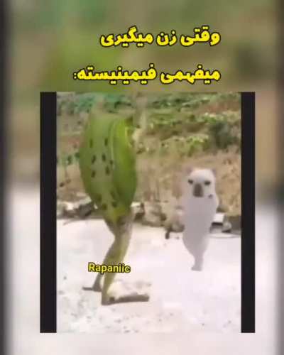 🗿😔