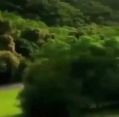 relaxing car drive