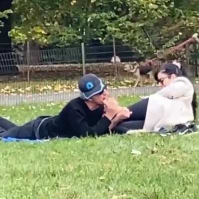 Picnic