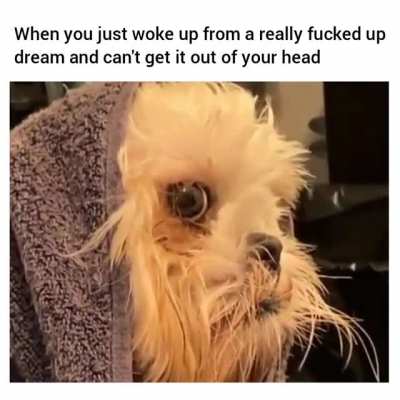 Well that was traumatic