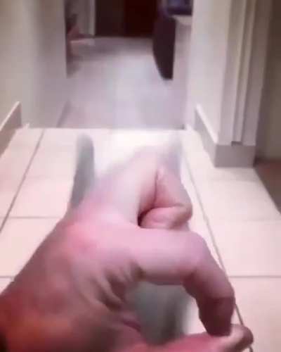 Pupper doesn't quite have the hang of the 