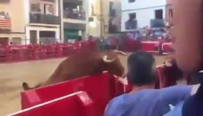 If you mess with the bull, you would get the horns