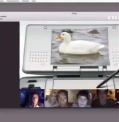 patito cuack cuack