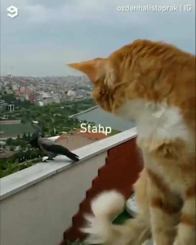 Friendly banter