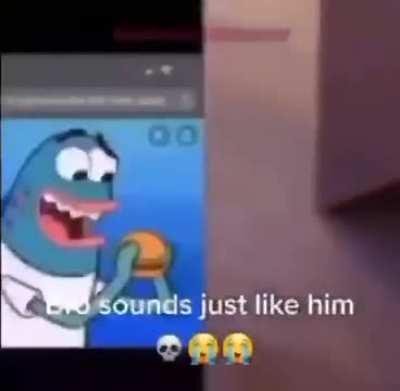 Spongeboy me bob