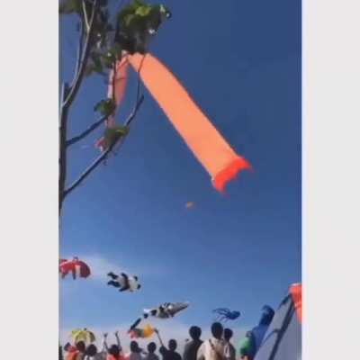 A 3 year old got caught in a kite