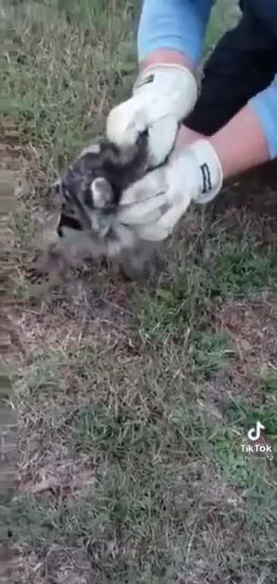 He's been saved!