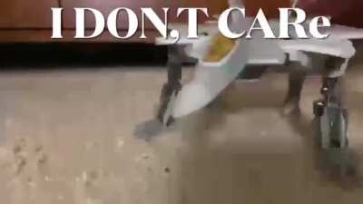 When the F-22 is sussy