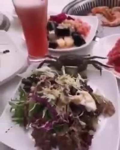 Самоготовящиеся морепродукты