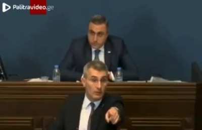 Georgian Parliament Brawl Over 
