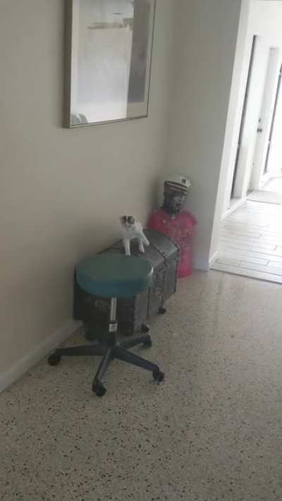 Touch Tha.....Stool#?