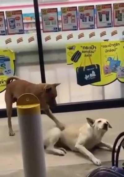 Ahh.. that's the spot