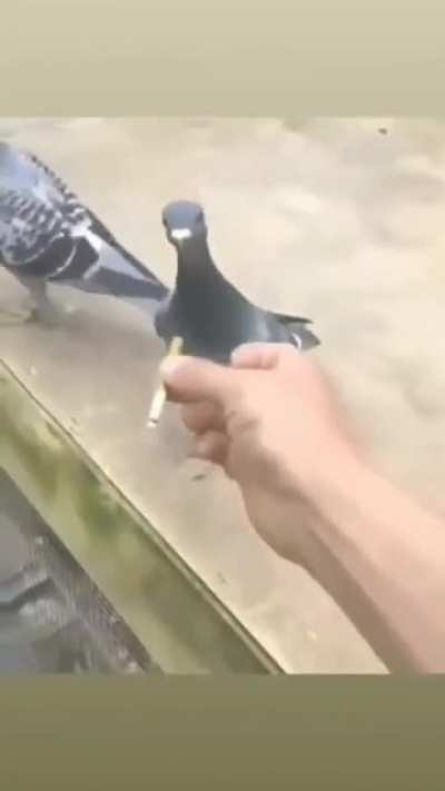 ?????