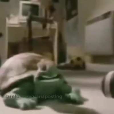 ._.XD