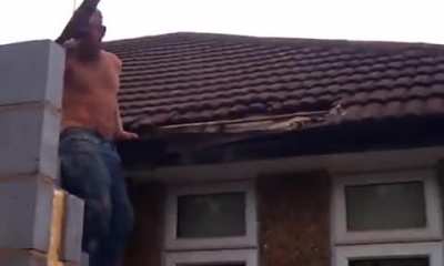 Destroying a wasp nest without special protection ... What bad can happen?