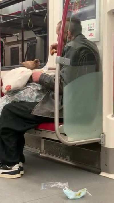 Train Bros.