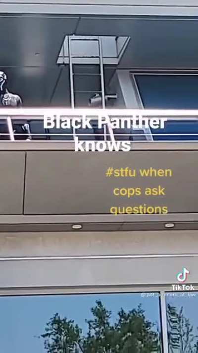 STFU Friday got popular, this is Black Panther edition. When cops pull you over, stick to the script then STFU